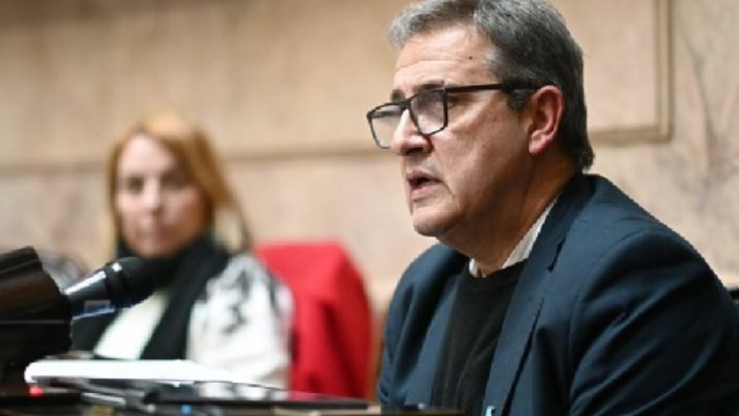diputado falcone mid