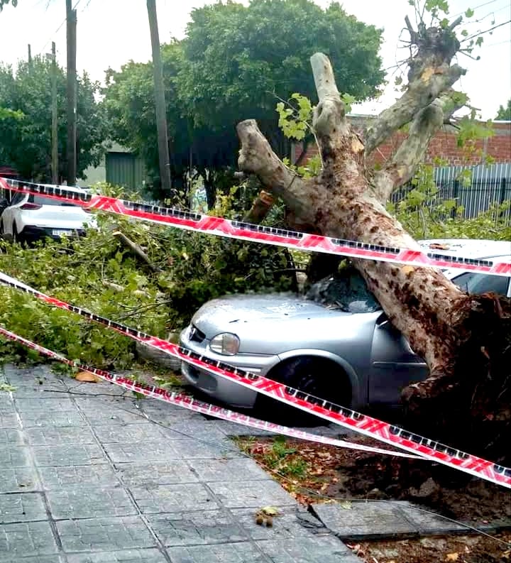 Zona Sur: Lo que dejó el temporal