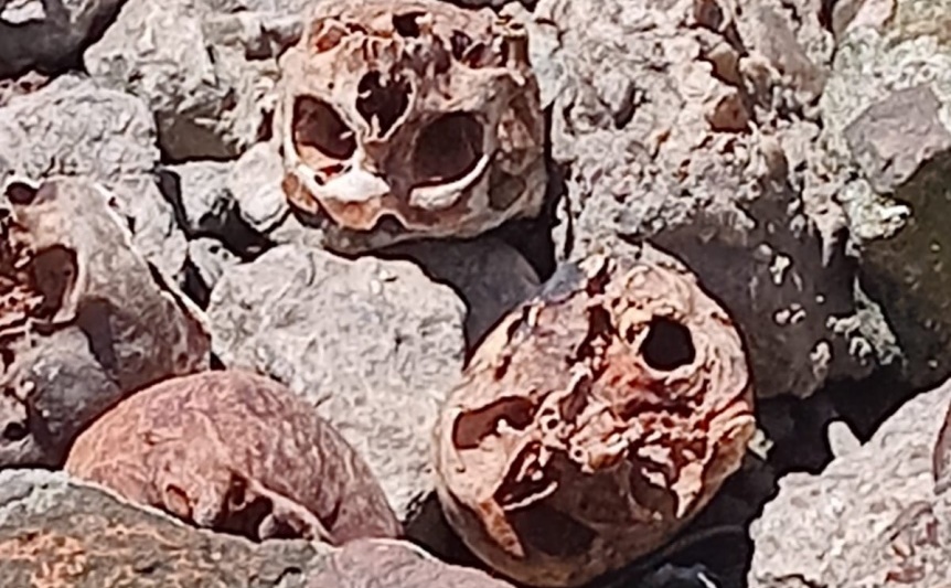 Rito umbanda: Hallan 17 cráneos humanos en la Ribera de Quilmes
