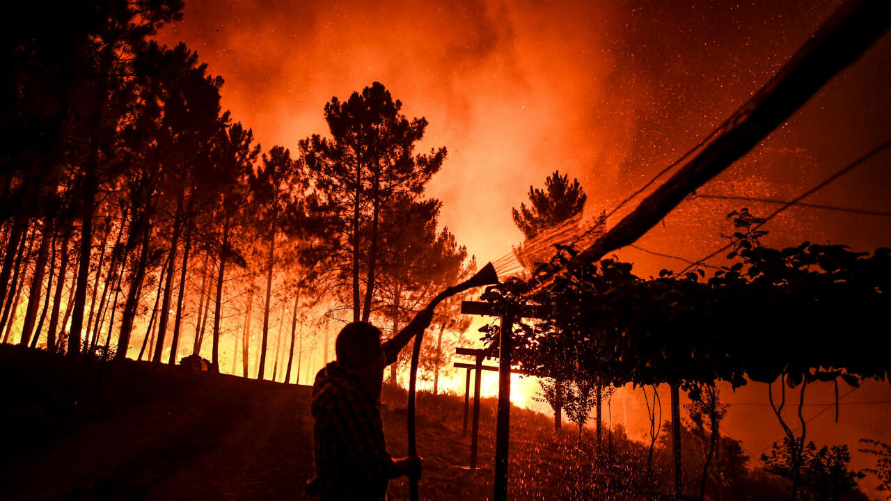 "Se está quemando todo", la desesperación del intendente de El Bolsón por el fuego descontrolado