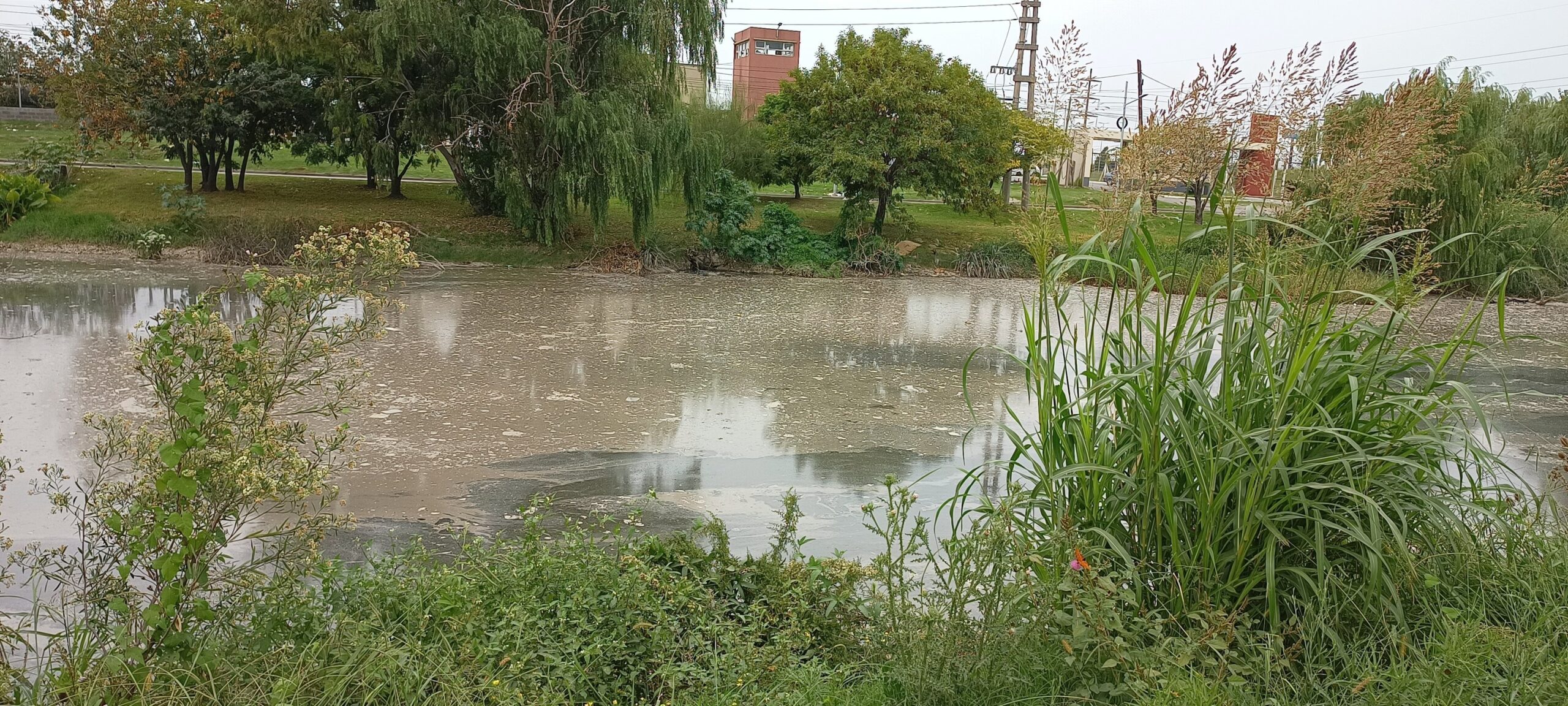 LA UCR LUCHA CONTRA LA CONTAMINACIÓN EN AVELLANEDA