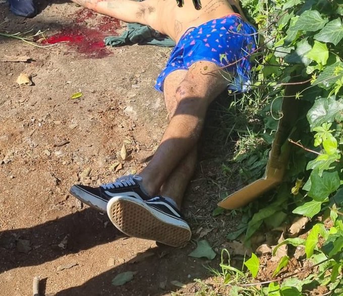 Tiroteo en Bernal: un delincuente abatido tras intentar asaltar a un prefecto