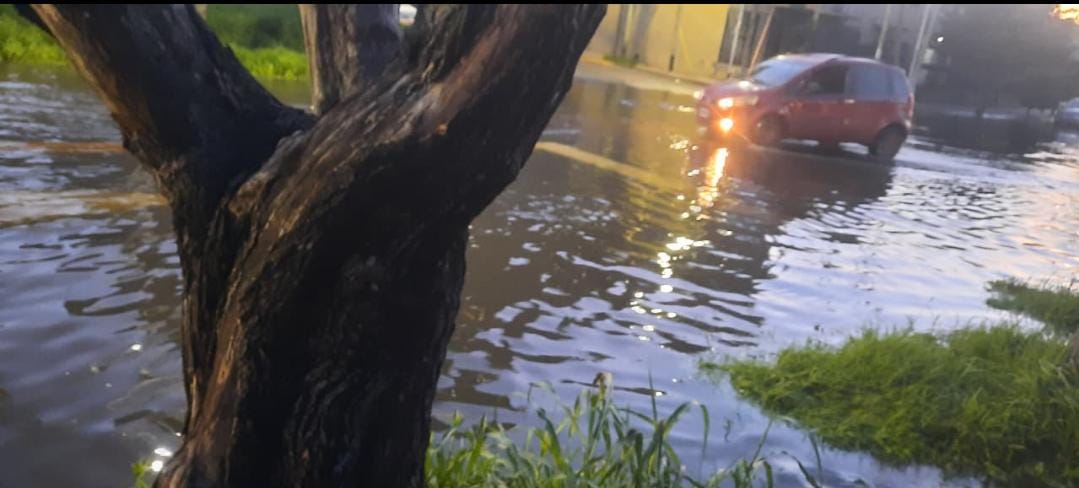Denuncia de inundaciones en Dock Sud y falta de obras hidráulicas