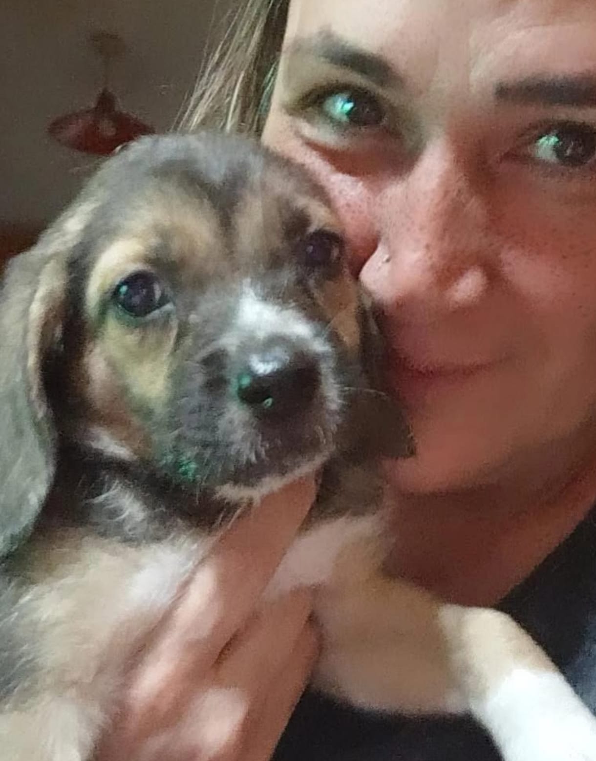 Rescate animal en Argentina: la lucha silenciosa de Empatía Animal