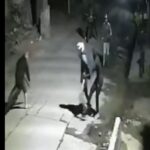 Ataque piraña en Dock Sud: un motociclista fue brutalmente golpeado por un grupo de delincuentes