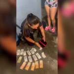 Detuvieron a una “viuda negra” en Esteban Echeverría tras robar una camioneta, televisores y dinero