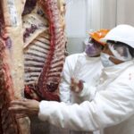 El consumo de carne cayó al menor nivel en 20 años