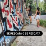 El milagro de las vías: cuatro amigas y una red de amor que rescata gatitos en la Estación de Wilde