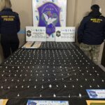 Dock Sud:La Poli reventó dos búnkeres narco